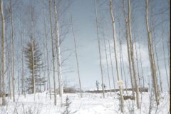 1971 05 Alaska Property2
