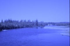1972 07 Alaska Birch Lake12