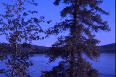 1972 07 Alaska Birch Lake13