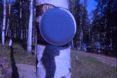 1972 07 Alaska Birch Lake15