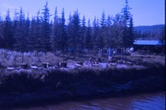 1972 07 Alaska Birch Lake9