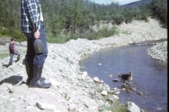 1972 07 Alaska Dennis Sam Scampy Gold Panning