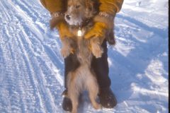 1973 02 Alaska Scampy