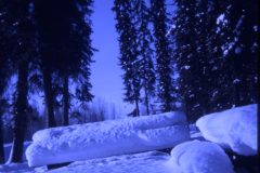 1973 02 Alaska Snow