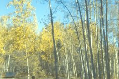 1973 10 Alaska HendersonRd. Fairbanks