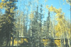 1973 10 Alaska HendersonRd. Fairbanks House1
