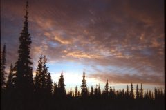 1974 02 Alaska HendersonRd. Fairbanks