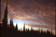 1974 02 Alaska HendersonRd. Fairbanks2