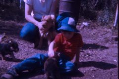 1974 07 Alaska David Dad Scampy Puppies