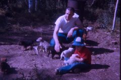 1974 07 Alaska David Dad Scampy Puppies1