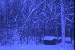 1974 11 Alaska House5