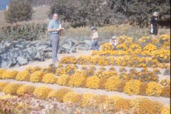 1974 Alaska Dad David Sam Garden