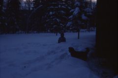 1975 01 Alaska HendersonRd. Fairbanks Sam Scampy