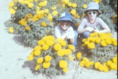 1975 Alaska Flowers David Sam1