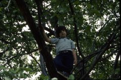 1976 07 New York HelderbergAve David1