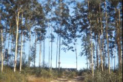 1972 07 Alaska Property1