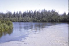 1972 07 Alaska Riverboat Cruise8