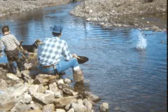 1972_08_Alaska_GoldPanning_Dad_David_Scampy.jpg.webp