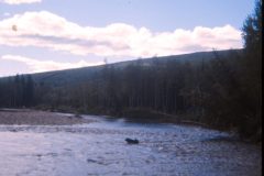 1972 08 Alaska GoldPanning Scampy2