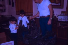 1972 12 Alaska Christmas Tree5