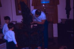 1972 12 Alaska Christmas Tree7