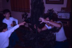 1972 12 Alaska Christmas Tree8