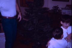 1972 12 Alaska Christmas Tree9