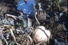 1972 12 Ohio Unknown