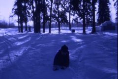 1973 02 Alaska David4