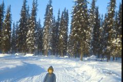 1973 02 Alaska David7