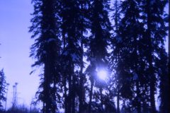 1973 02 Alaska Snow1