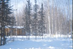 1973 04 Alaska HendersonRd. Fairbanks House2