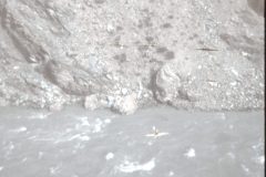 1973 08 Alaska Train Ride13