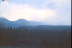 1973 08 Alaska Train Ride18