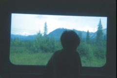 1973 08 Alaska Train Ride David1