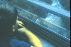 1973 08 Alaska Train Ride Sam1