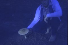 1973 09 Alaska Dad Mushroom