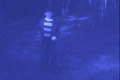 1973 09 Alaska David