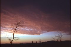 1974 02 Alaska HendersonRd. Fairbanks7