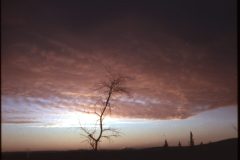 1974 02 Alaska HendersonRd. Fairbanks8