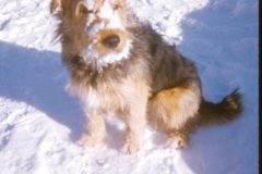 1974 04 Alaska HendersonRd. Fairbanks Scampy2