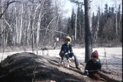 1974_05_Alaska_HendersonRd._Fairbanks_David_Sam9.jpg.webp
