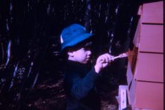 1974 06 Alaska David