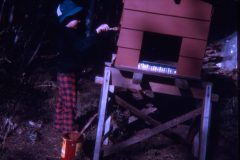 1974 06 Alaska David1