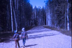 1974 06 Alaska David Sam