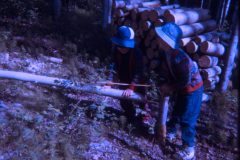 1974 06 Alaska David Sam5