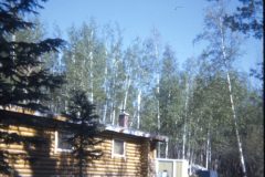 1974 06 Alaska HendersonRd. Fairbanks House9