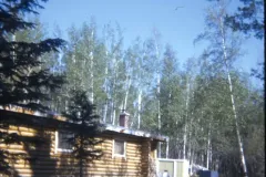 1974_06_Alaska_HendersonRd._Fairbanks_House9.jpg.webp