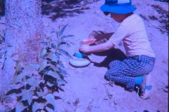 1974 07 Alaska David1