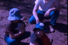 1974 07 Alaska David Sam Dad Scampy Puppies